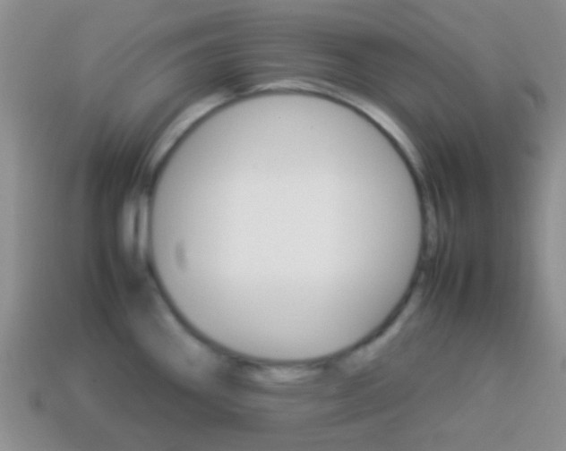 X0000114231290200910091320