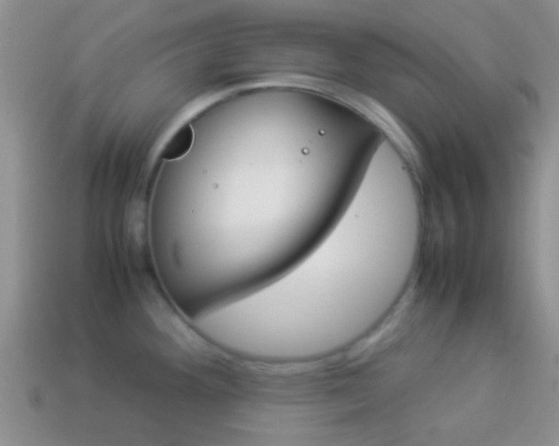 X0000114231292200910091320