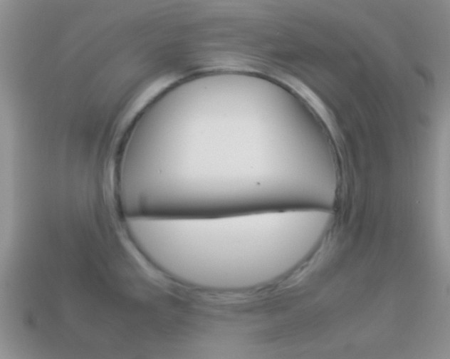 X0000114231293200910091320