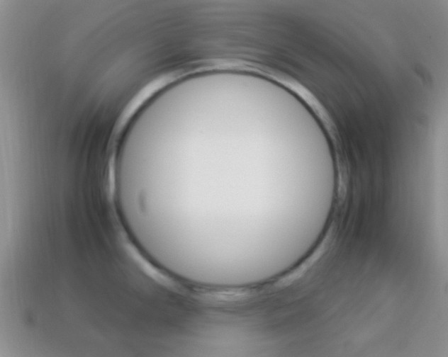 X0000114231294200910091320