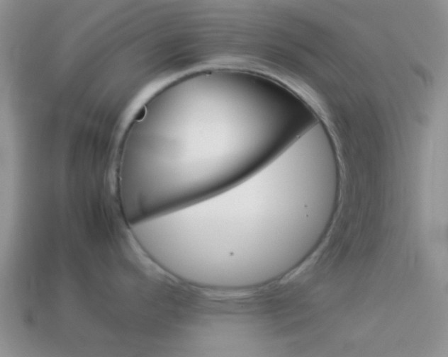 X0000114231296200910091320