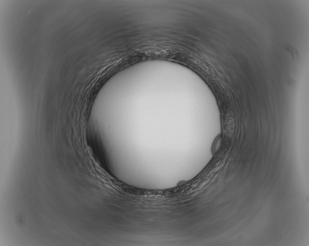 X0000114231297200910091319