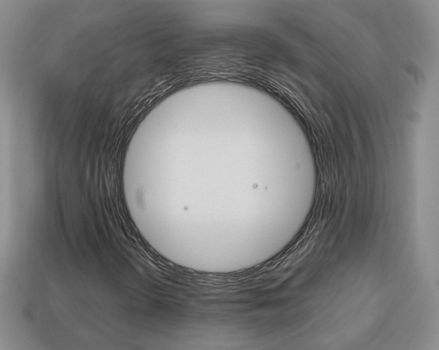 X0000114231298200910091319