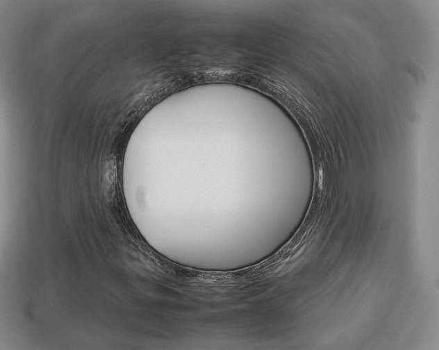 X0000114231299200910091319