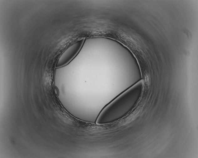 X0000114231300200910091319