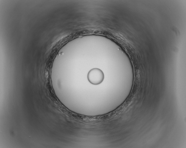 X0000114231302200910091319