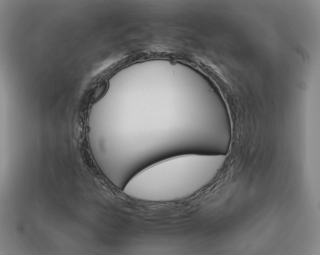 X0000114231303200910091319