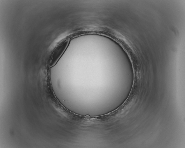 X0000114231304200910091319