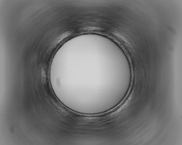X0000114231305200910091319