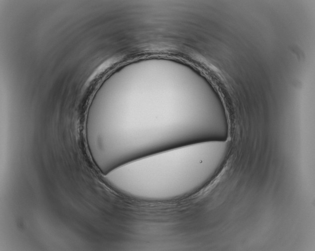 X0000114231306200910091319