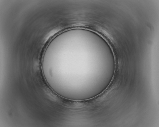 X0000114231308200910091319