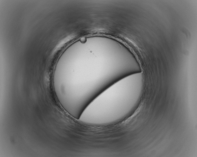 X0000114231309200910091319