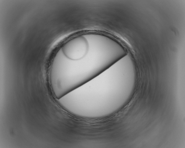 X0000114231311200910091319