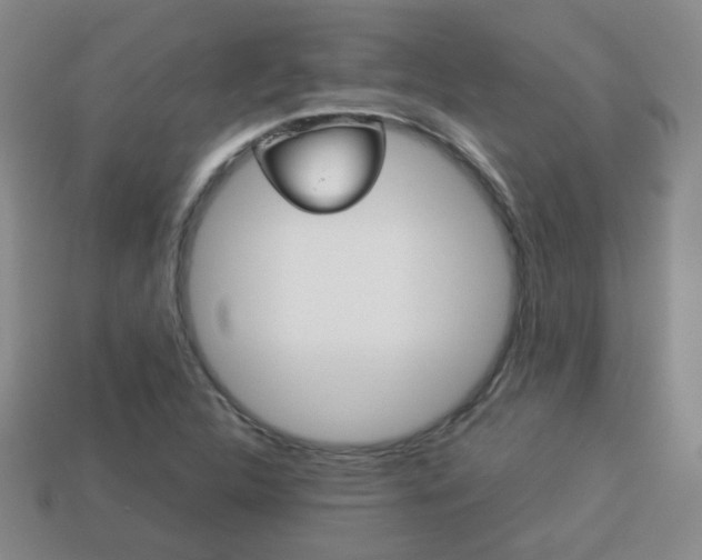 X0000114231312200910091319