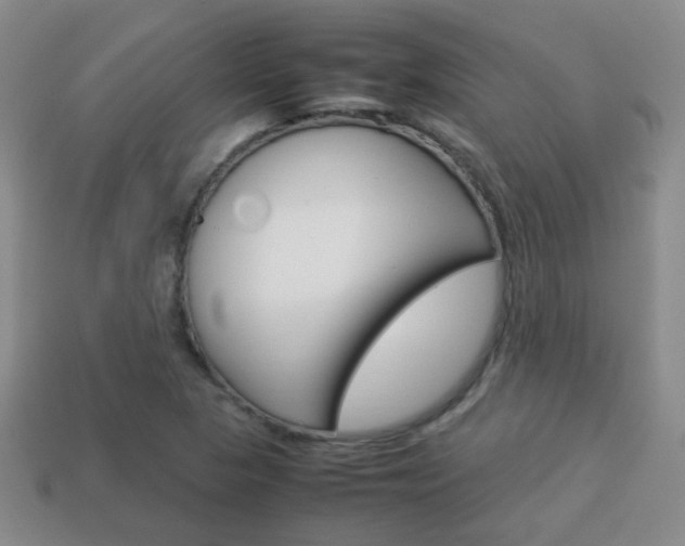 X0000114231313200910091319