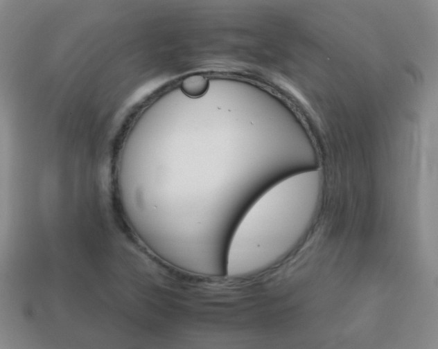 X0000114231315200910091320