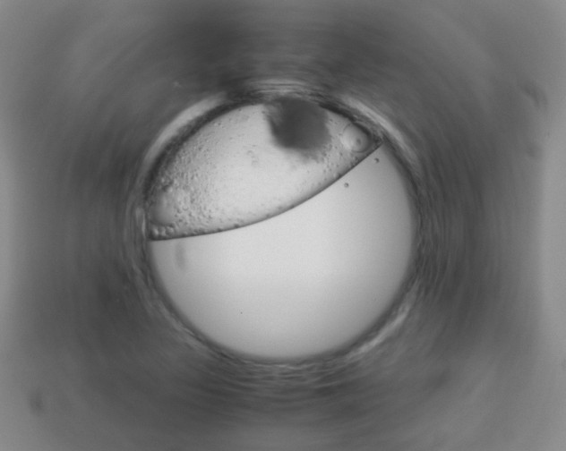 X0000114231317200910091320