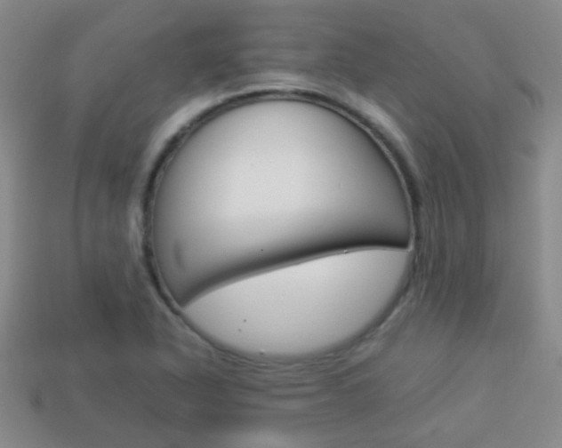 X0000114231318200910091320