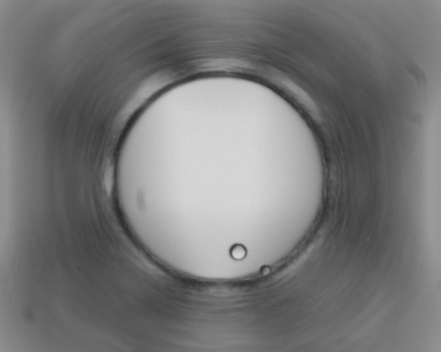 X0000114231322200910091320
