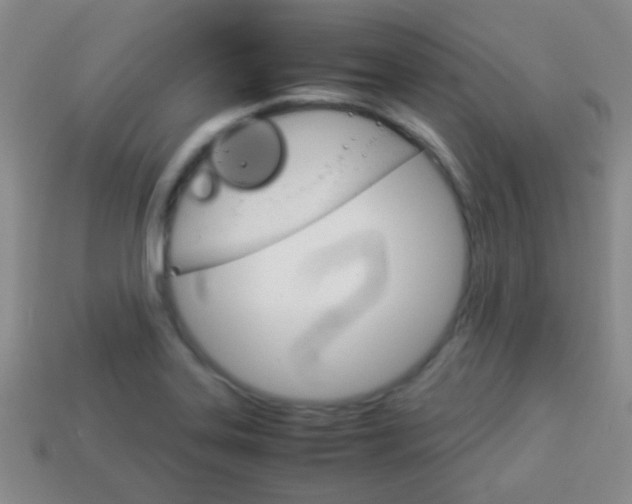 X0000114231323200910091320