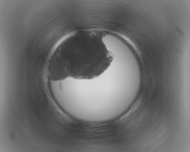 X0000114231325200910091320