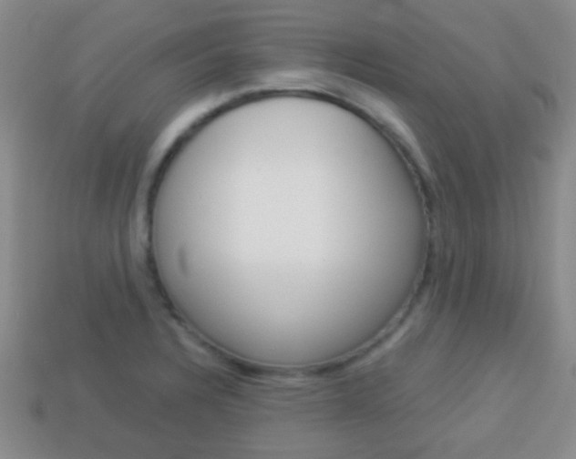 X0000114231328200910091320