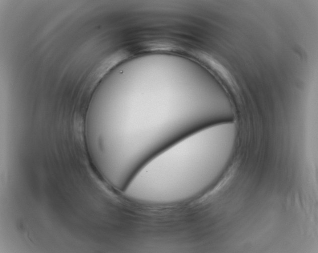 X0000114231329200910091320