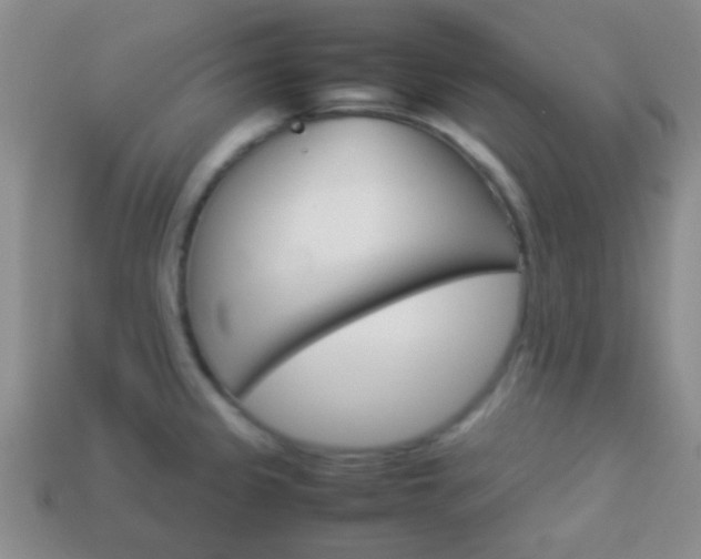 X0000114231333200910091320