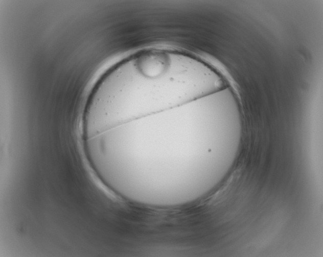 X0000114231335200910091320