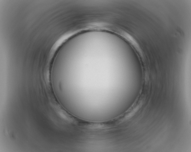 X0000114231336200910091320