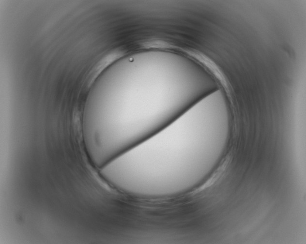 X0000114231337200910091320