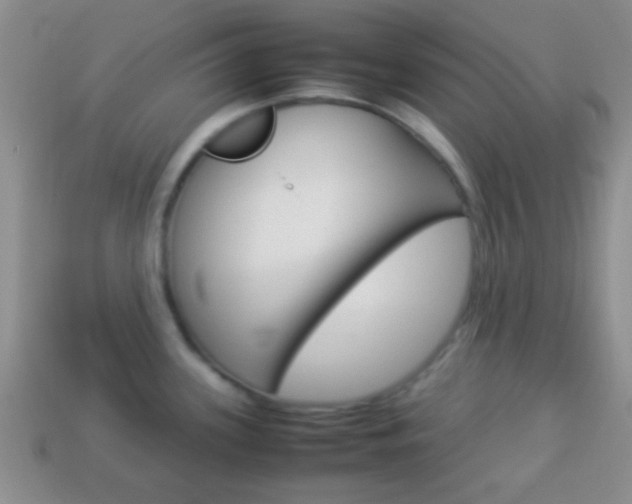 X0000114231339200910091320