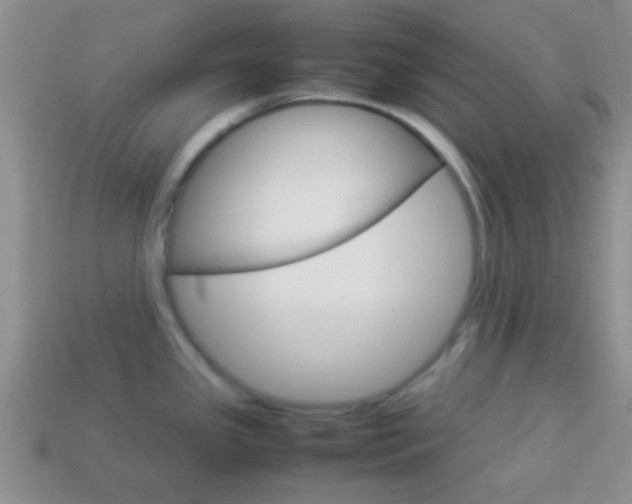 X0000114231341200910091320