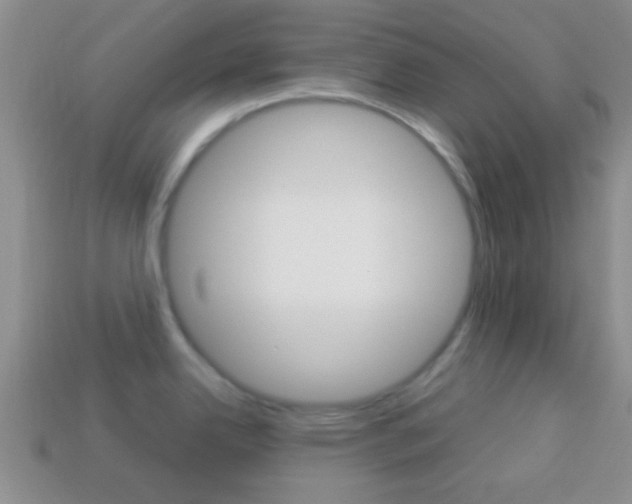 X0000114231342200910091320