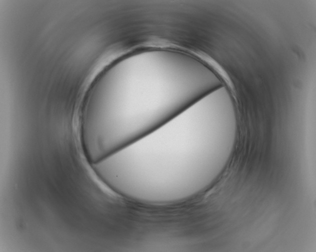 X0000114231343200910091320