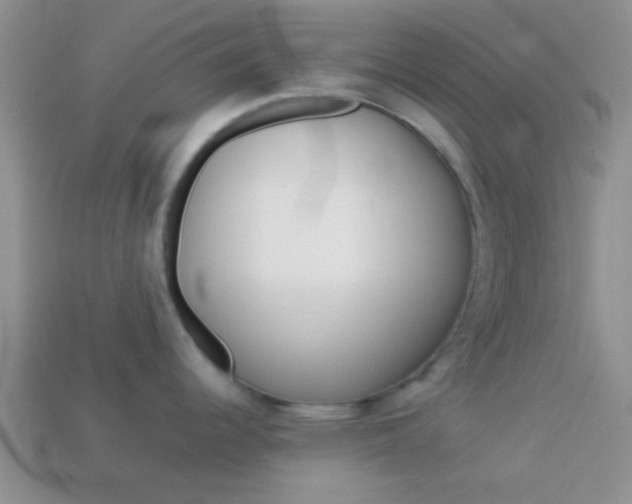 X0000114231344200910091320