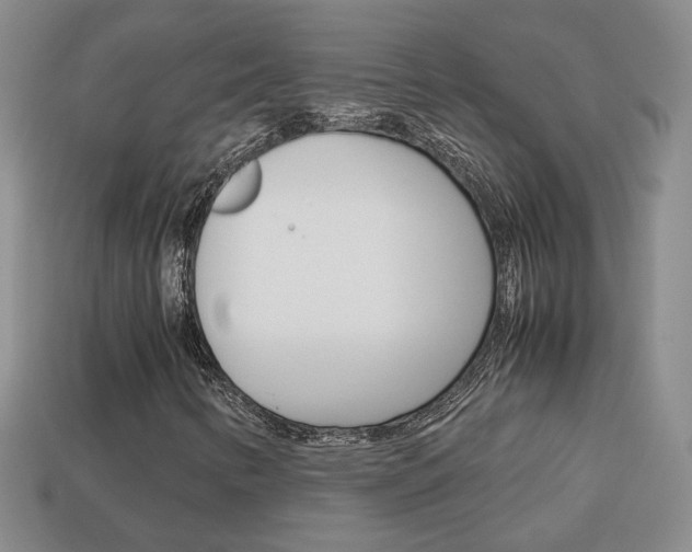 X0000114231346200910091319