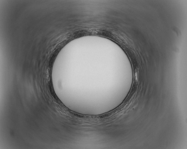 X0000114231347200910091319