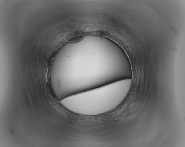 X0000114231348200910091319