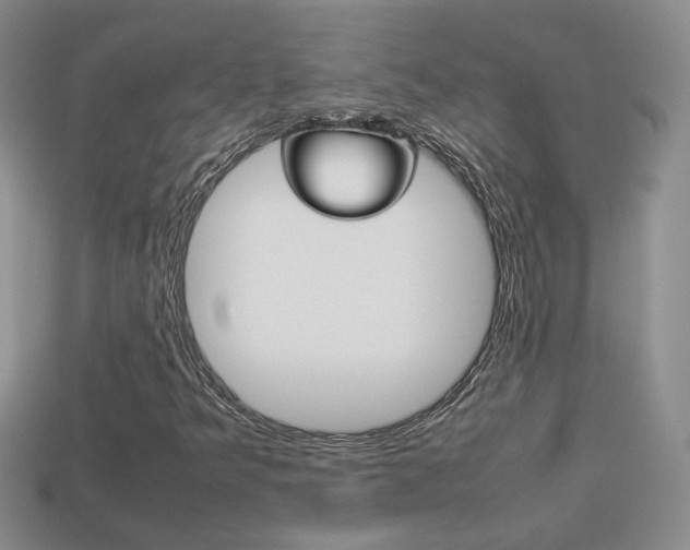 X0000114231349200910091319