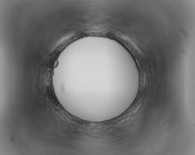 X0000114231350200910091319