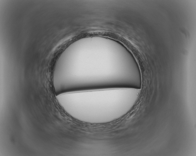 X0000114231351200910091319