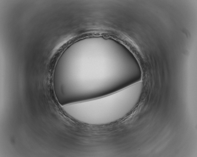 X0000114231352200910091319