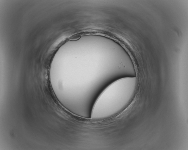 X0000114231355200910091319