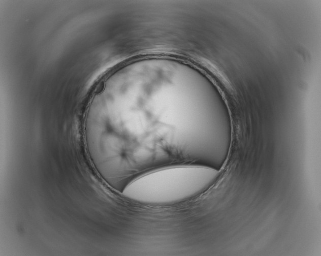 X0000114231356200910091319