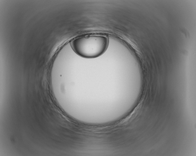 X0000114231357200910091319