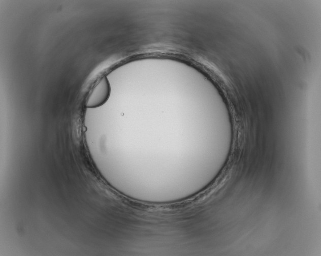 X0000114231358200910091319