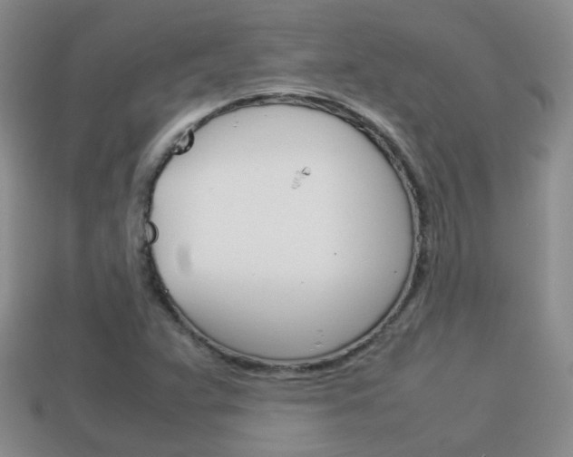 X0000114231359200910091319