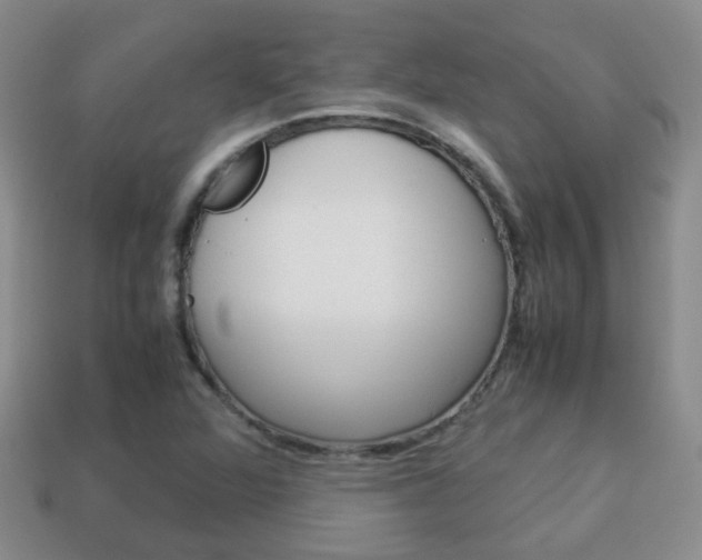 X0000114231360200910091319