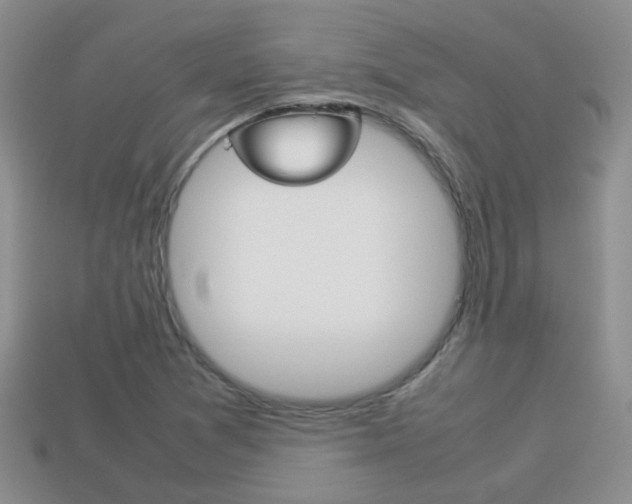 X0000114231361200910091319